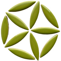 Ceramic Ellipse Kiwi