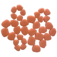 Sakura Blossom Apricot