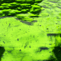 Verre Mosaique - glass mosaic -Glasmosaik-glasmozaïek-Gekleurde Spiegel Zeewier - mosaicshop