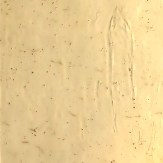 Glasplatte Champagner Antikglas