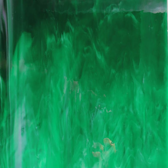 Glasplatte Farn Zart