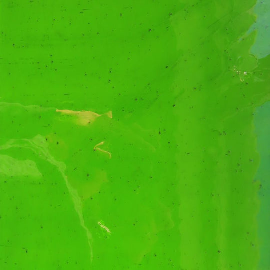 Glasplatte Tiefes Limette