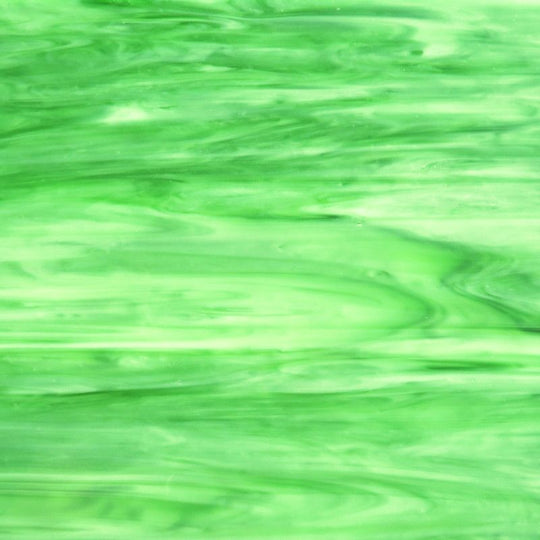 Glasplatte Heuschrecke