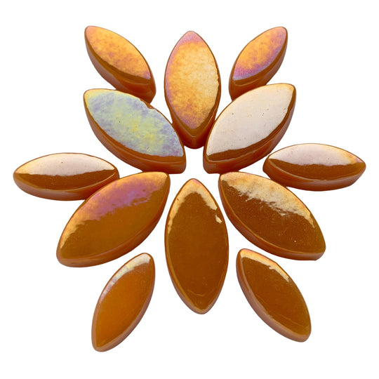 Petals  Iridised Orange