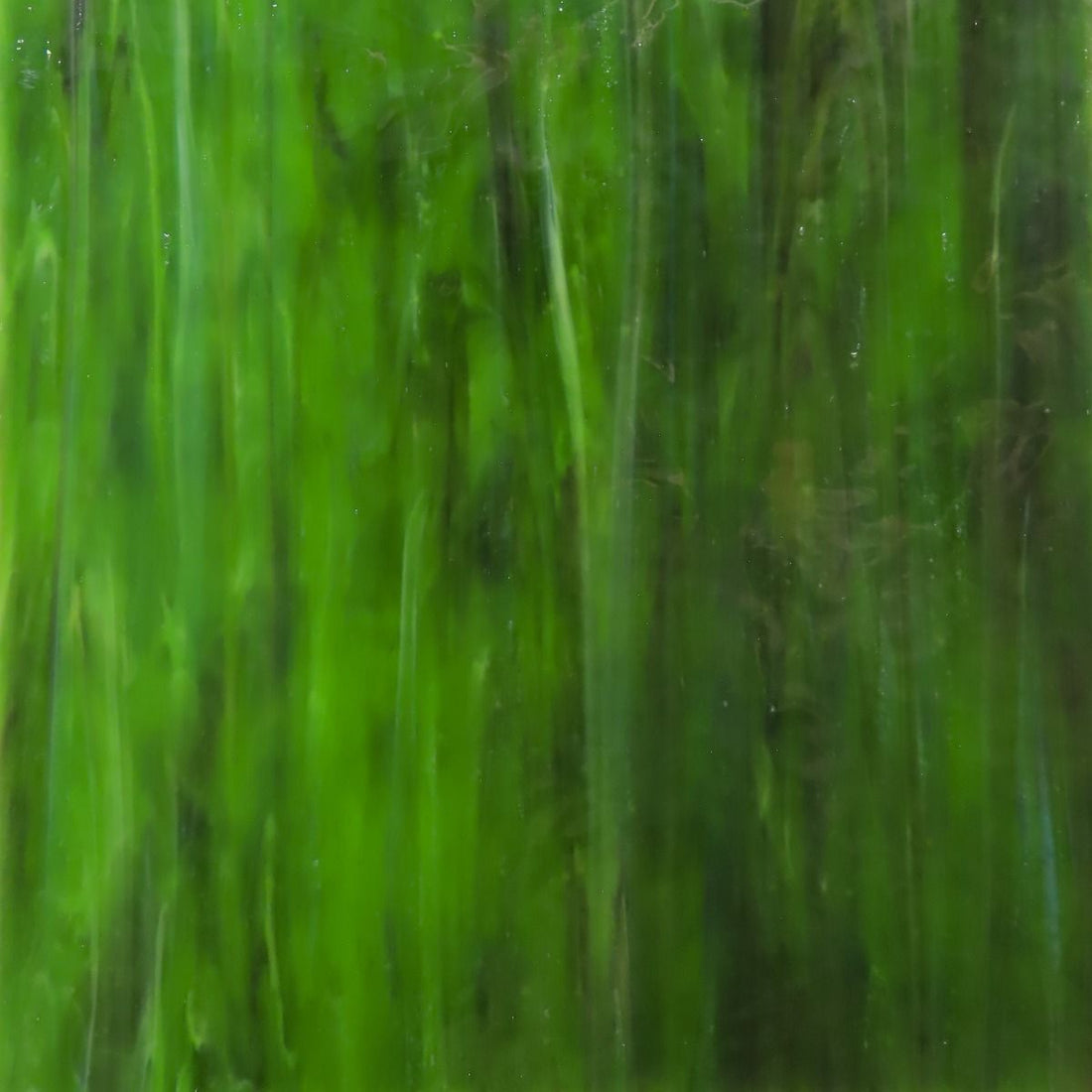 Glass Plate Forest Green Texture