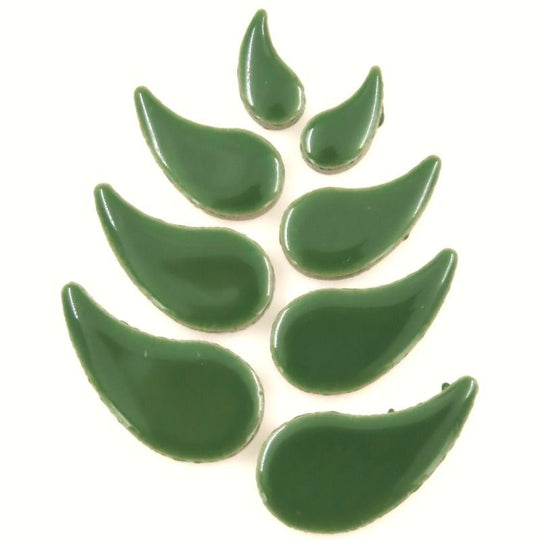 Goutte de pluie Eucalyptus