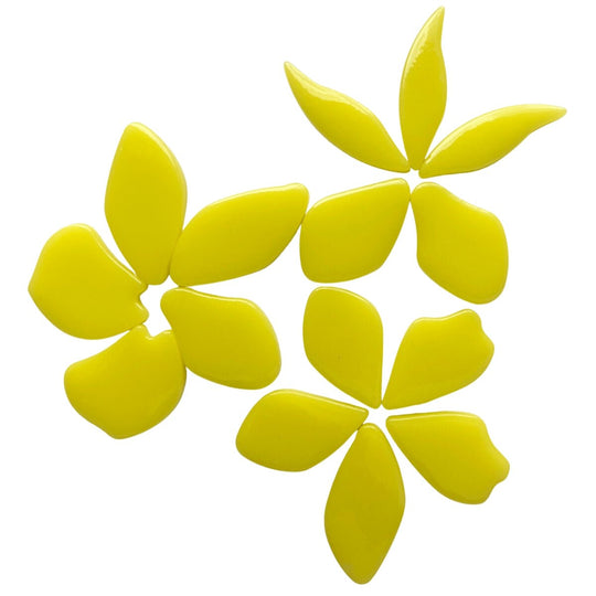 Fallen Petals Acid Yellow
