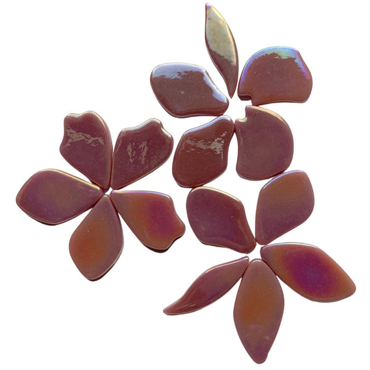 Fallen Petals Pearlised Raspberry