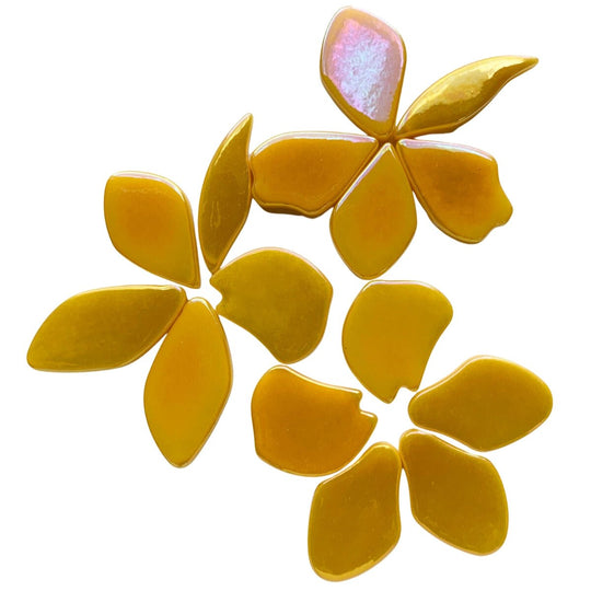 Fallen Petals Pearlised Warm Yellow