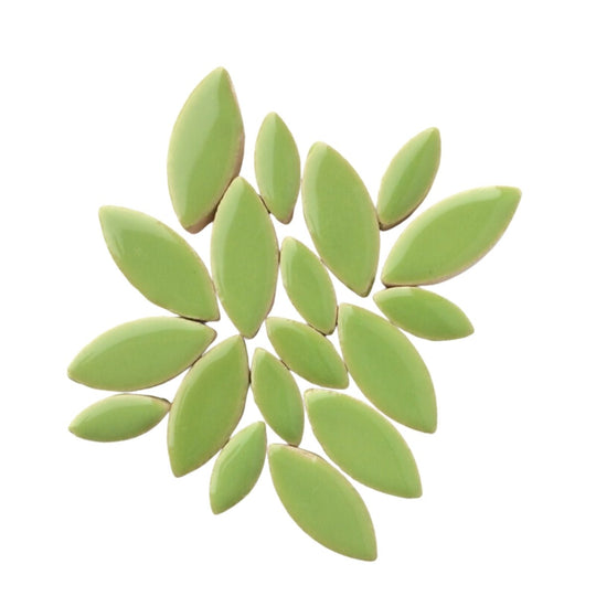 Mosaiksteinen Elipsenform  Kiwi